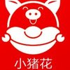 小猪花 1.0