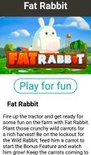 Fat Rabbit free  demo