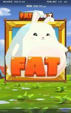 Fat Rabbit free  demo