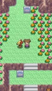 pokemmo黑白文件