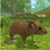 老鼠模拟器 v1.15