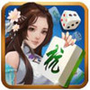 同城乐上饶飞宝麻将 2.5