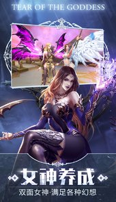女神之泪官方