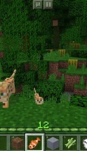 我的世界无限物品辅助