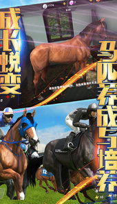 相马大师手游
