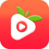 草莓官方社区app 2.4