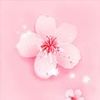 桃花桃花视频app官方 2.1