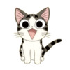 小花猫直播免费 1.3