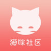 猫咪社区app在线官方 1.3
