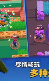 荒野乱斗挂机辅助