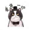 肥猫电影院 1.1