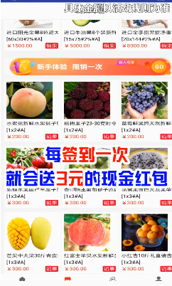 网新商城卖水果赚钱