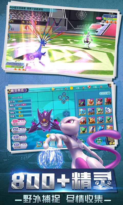 口袋喵喵(海量特权)