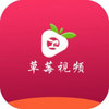 小草莓视app 1.5