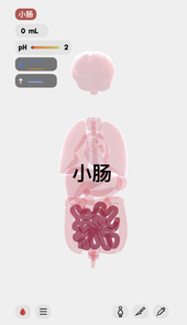 生命life
