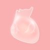 生命life v1.0.1