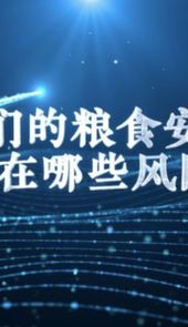 我说国家安全