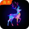 手机美图壁纸 v1.3.0.1