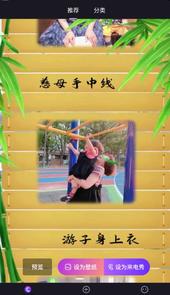 来电秀大师
