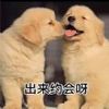 出来约会呀我馋你了表情包 v3.2