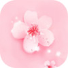 桃花视频免费高清完整版 2.6