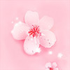 桃花电影完整版在线观看免费APP 1.5