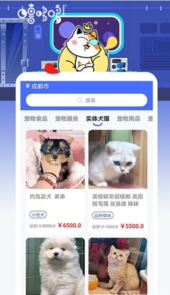 噜哆哆宠物