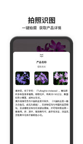 以图搜图百度识图
