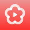 梅花官网ios 2.2