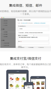 表单大师 帮boss