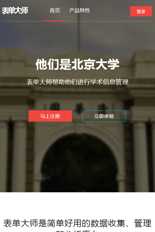 表单大师官网