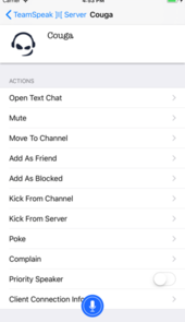 teamspeak3中文手机版