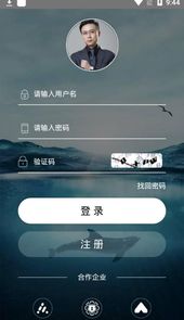 男男篮鲸