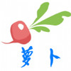 萝卜官方 2.6