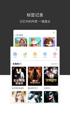 绿叶浏览器国际版