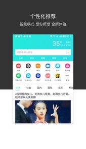 绿叶浏览器官网