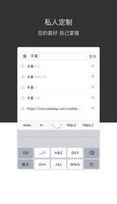 绿叶浏览器官网