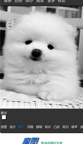 魔图软件