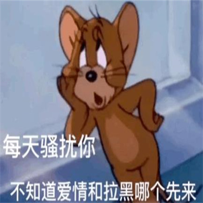 每天骚扰你不知道爱情和拉黑哪个先来