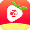 草莓视频app燕 2.6