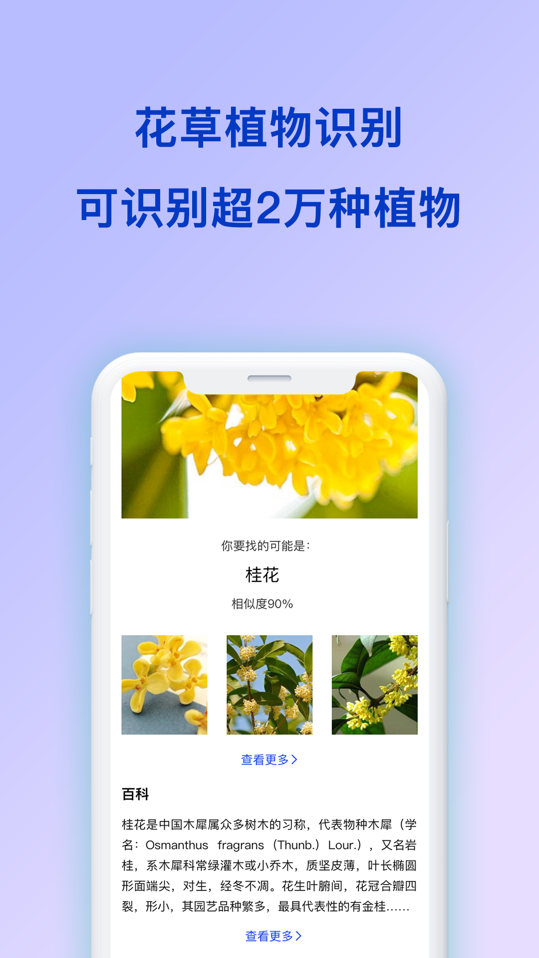 扫描识图app