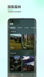 森林白噪音app