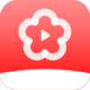 zz3梅花app 1.5