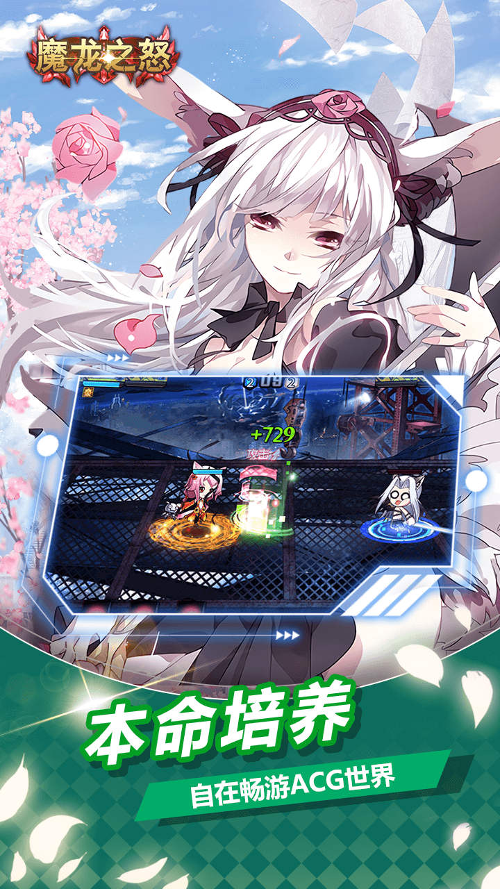 魔龙之怒(动漫乱战)