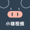 小猪视频大全视频播放 2.2
