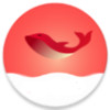 大鱼影视app破解版 3.0