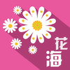 花海最新版本 2.2