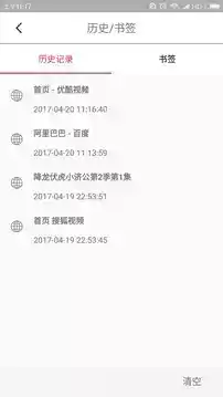 vip浏览器2021官方版