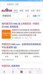 vip浏览器2021官方版