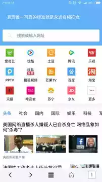 vip浏览器2021官方版